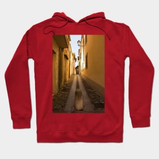 Street in Cividale del Friuli, Italy Hoodie